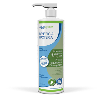 98887 Beneficial Bacteria for Ponds (Liquid) - 16 oz